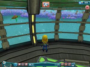 Ocean Sky Box