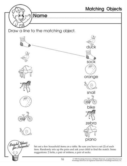 Worksheet 6