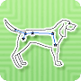 Connect the Constellation – Canis Major – Free Math Activity for 2nd Grade - Math Blaster