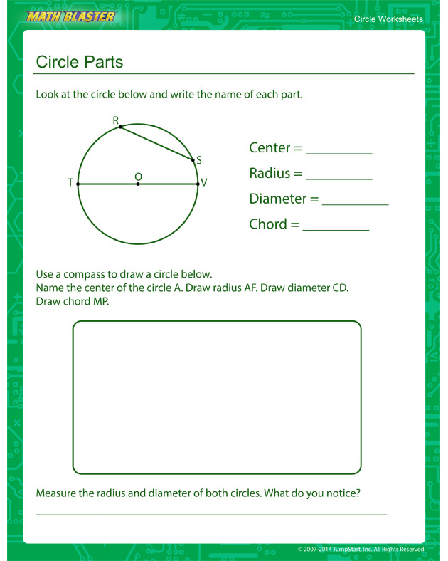 Circle Parts - Circles Worksheet for Kids