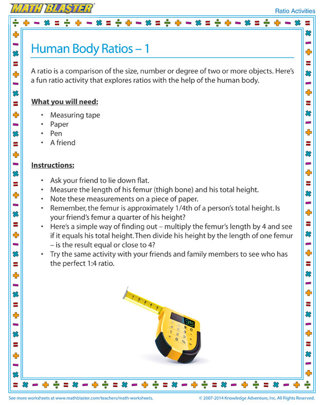 Human Body Ratios – 1 - Free Ratio Activity