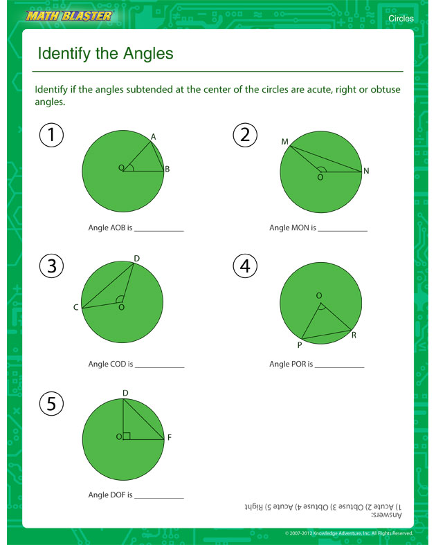 Identify the Angles - 5th Grade Circles Worksheet for Kids